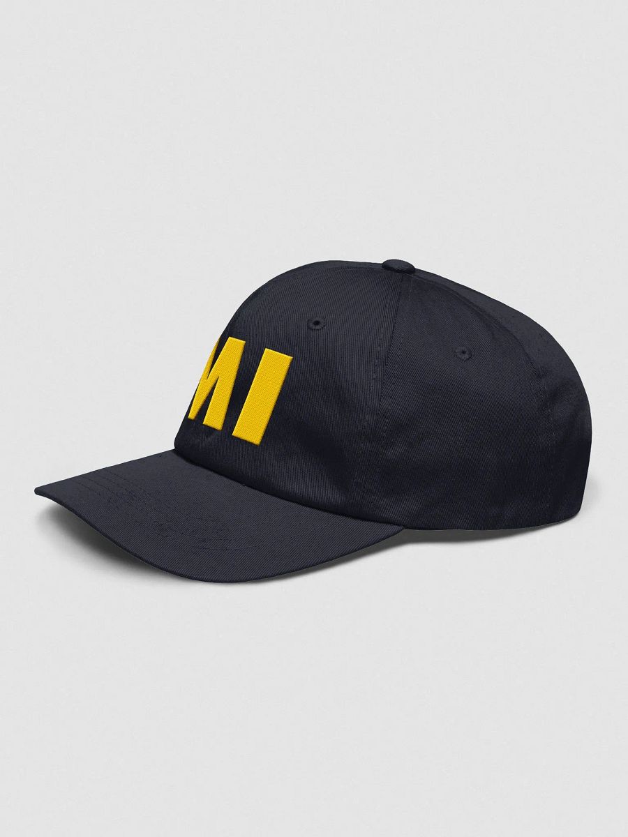 MI Hat product image (3)