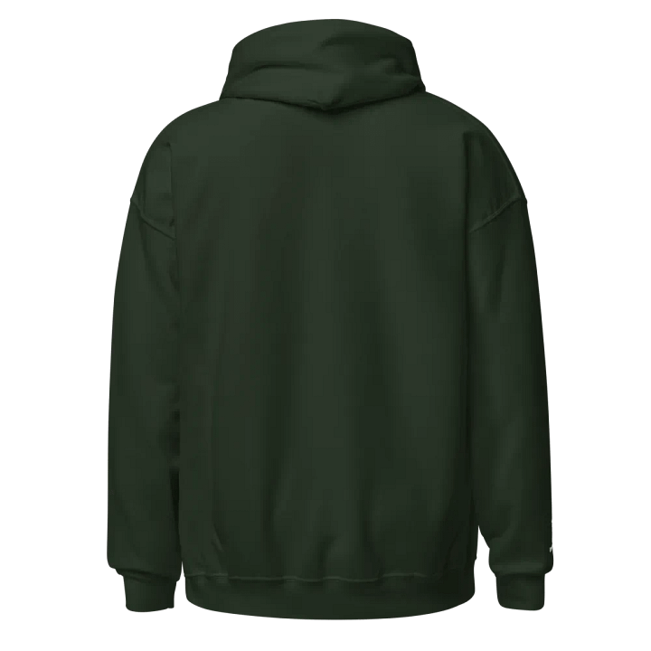 JBL3 Louisville Colonels Hoodie product image (2)