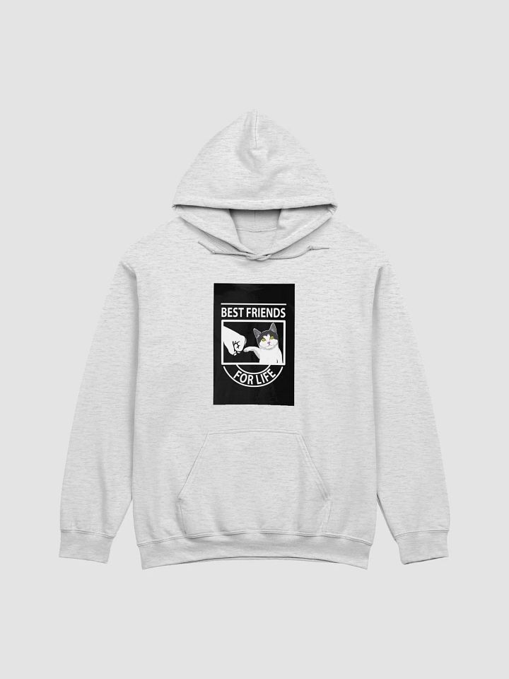 Pawsitively Best Friends Unbeatable Hoodie product image (12)