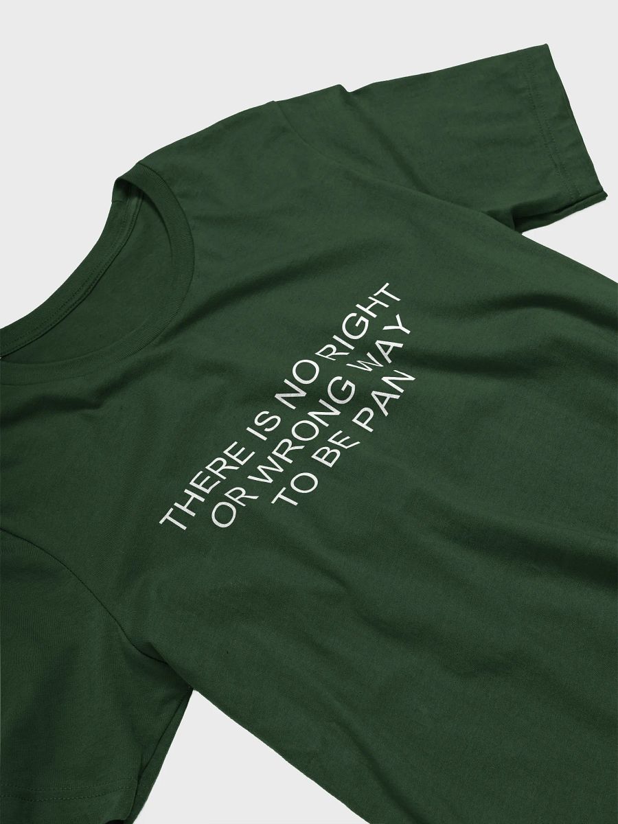 no wrong way to be pan t-shirt product image (3)