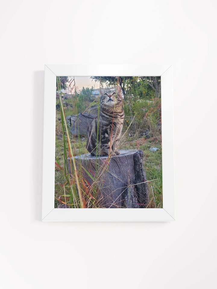 A Cat Named Purrsie Framed Matte Poster product image (2)