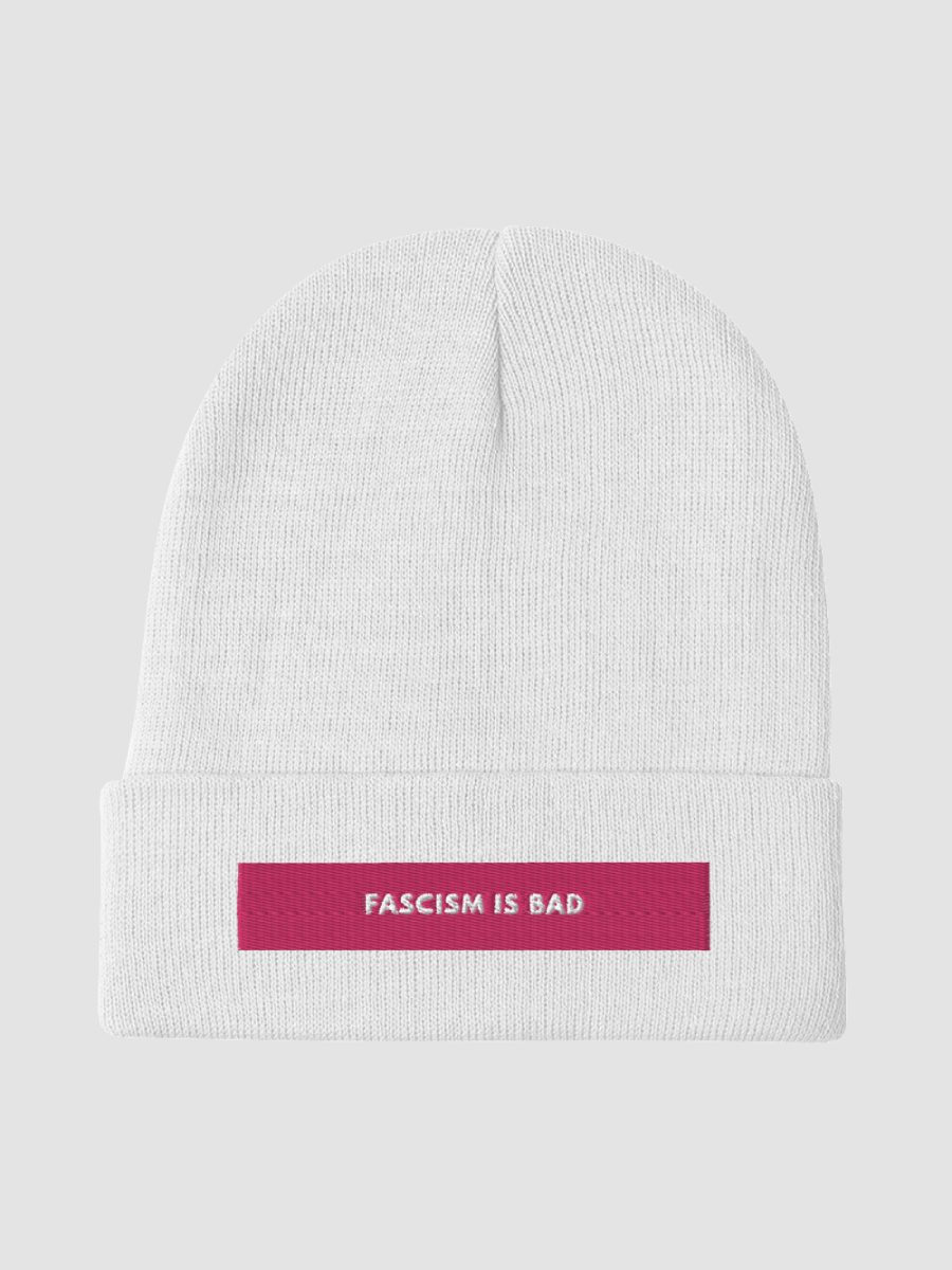 Fascism Is Bad Knit Beanie product image (1)
