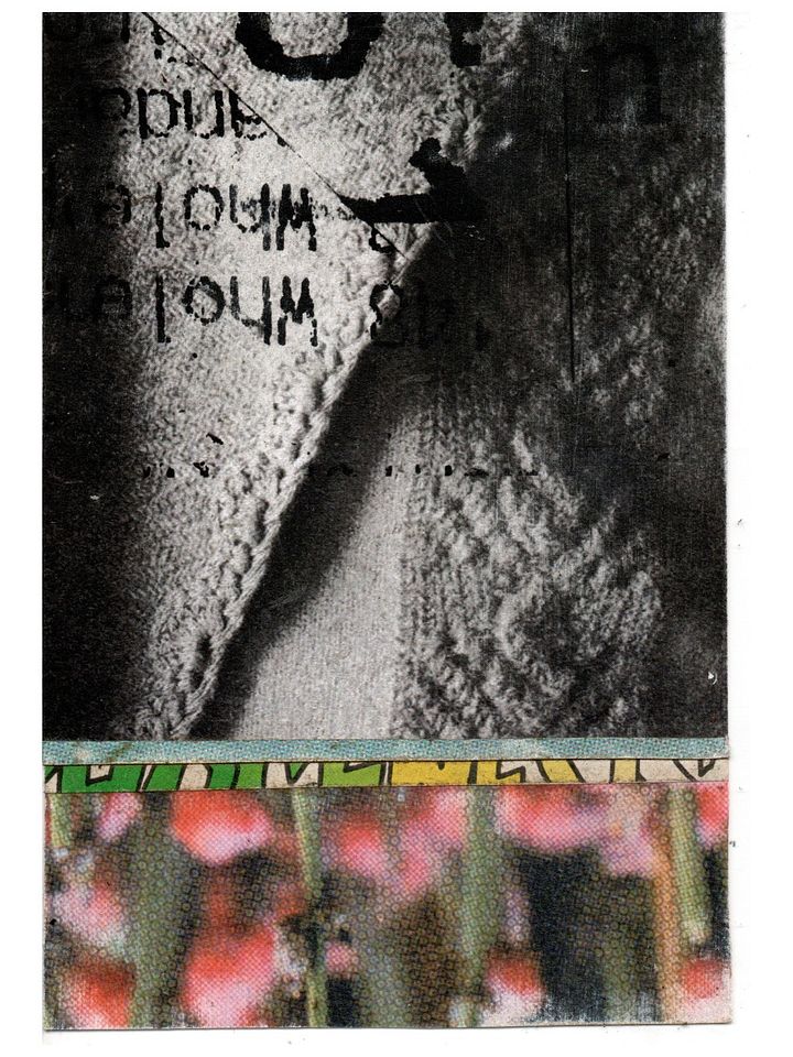 the words of our doctrines product image (1)