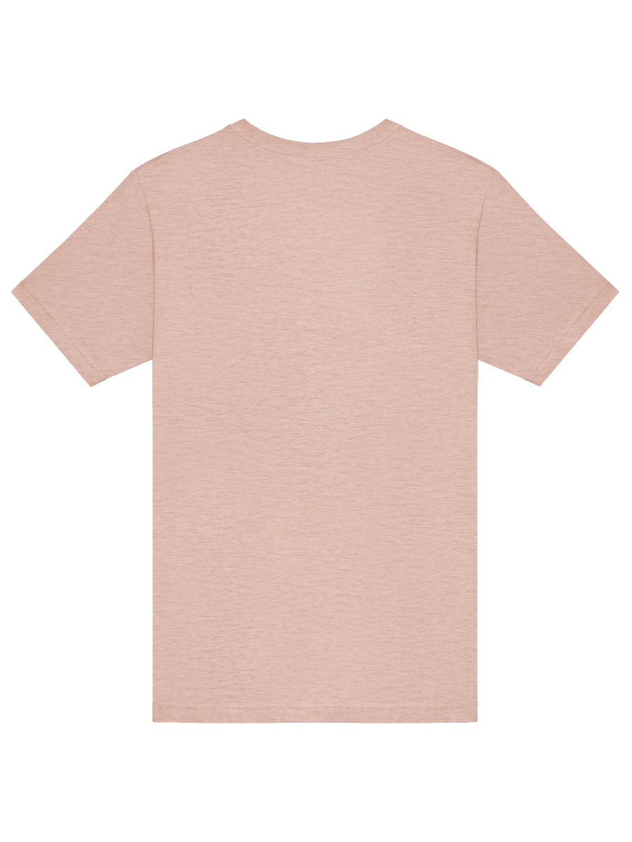 Baddies & Saddies T-Shirt product image (18)