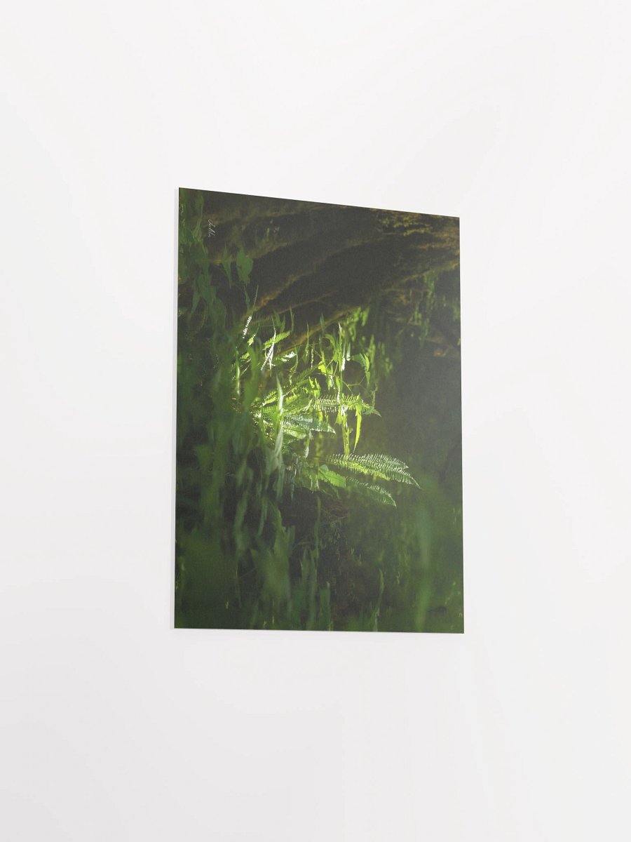A little shot of sunshine in the wood's Matte Poster product image (17)