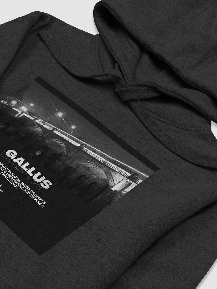 Gallus Hoodies product image (3)