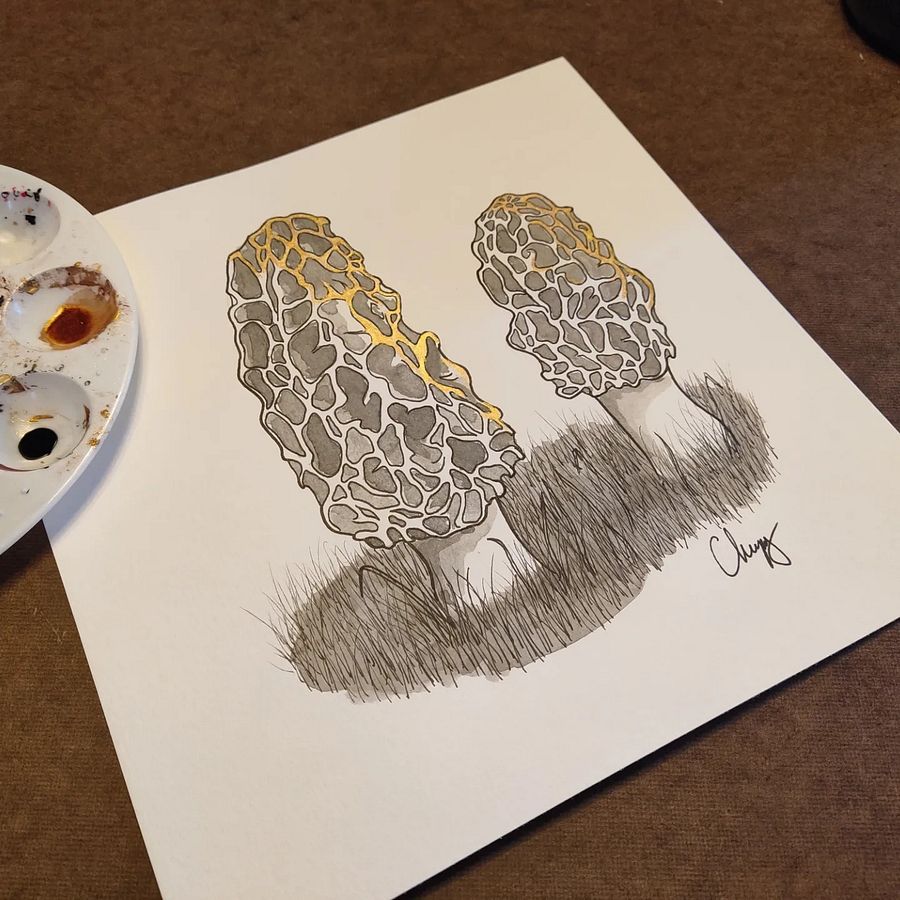 Morels - Original Drawing product image (1)