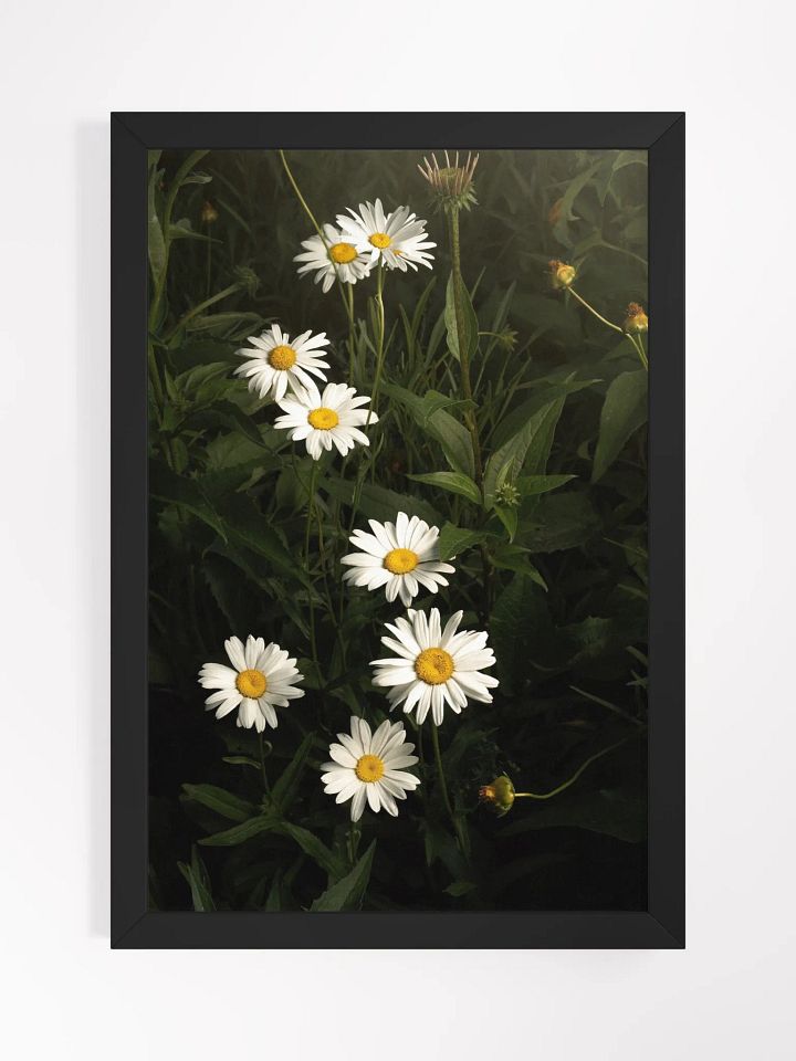 Undulating Daisies product image (1)