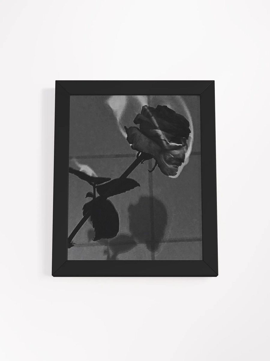 ROSE product image (1)