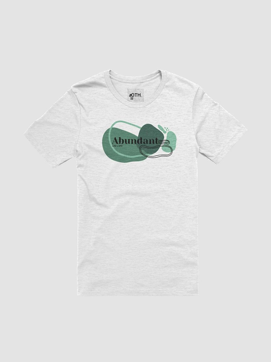 Abundant Manifestation T-Shirt product image (6)