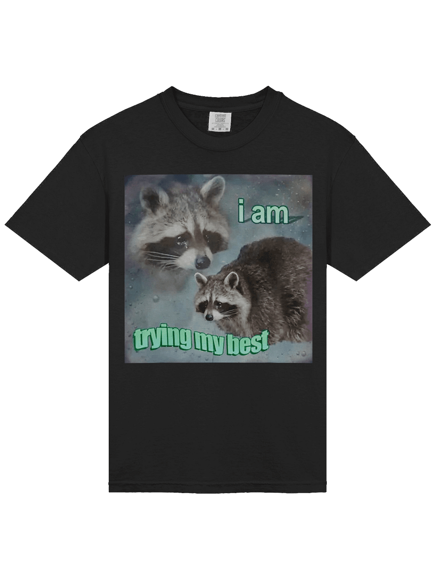 I Am Trying My Best Shirt product image (4)