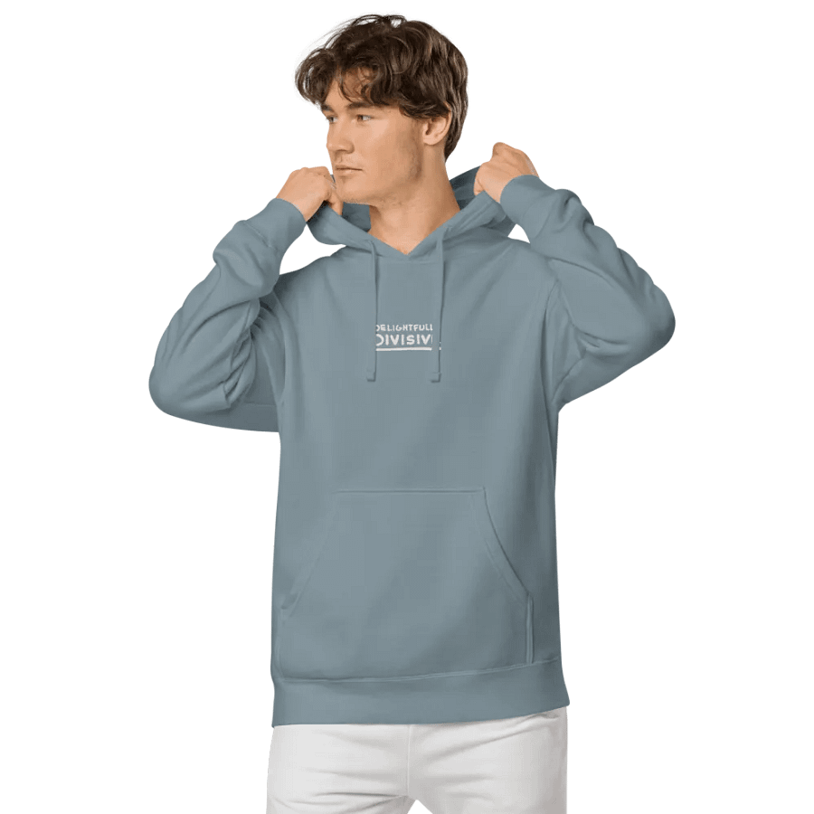 DELIGHTFULLY DIVISIVE (center, white design) embroidered pigment hoodie product image (62)