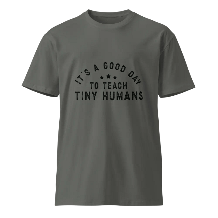Good Day to Teach Tiny Humans T-Shirt product image (1)