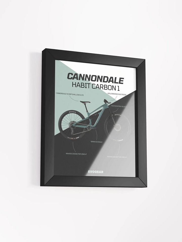 Cannondale Habit Carbon 1 Frame product image (6)