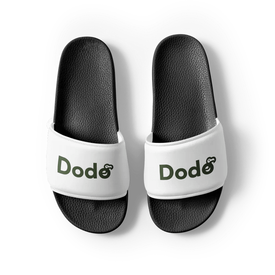 Dodo Slides product image (6)