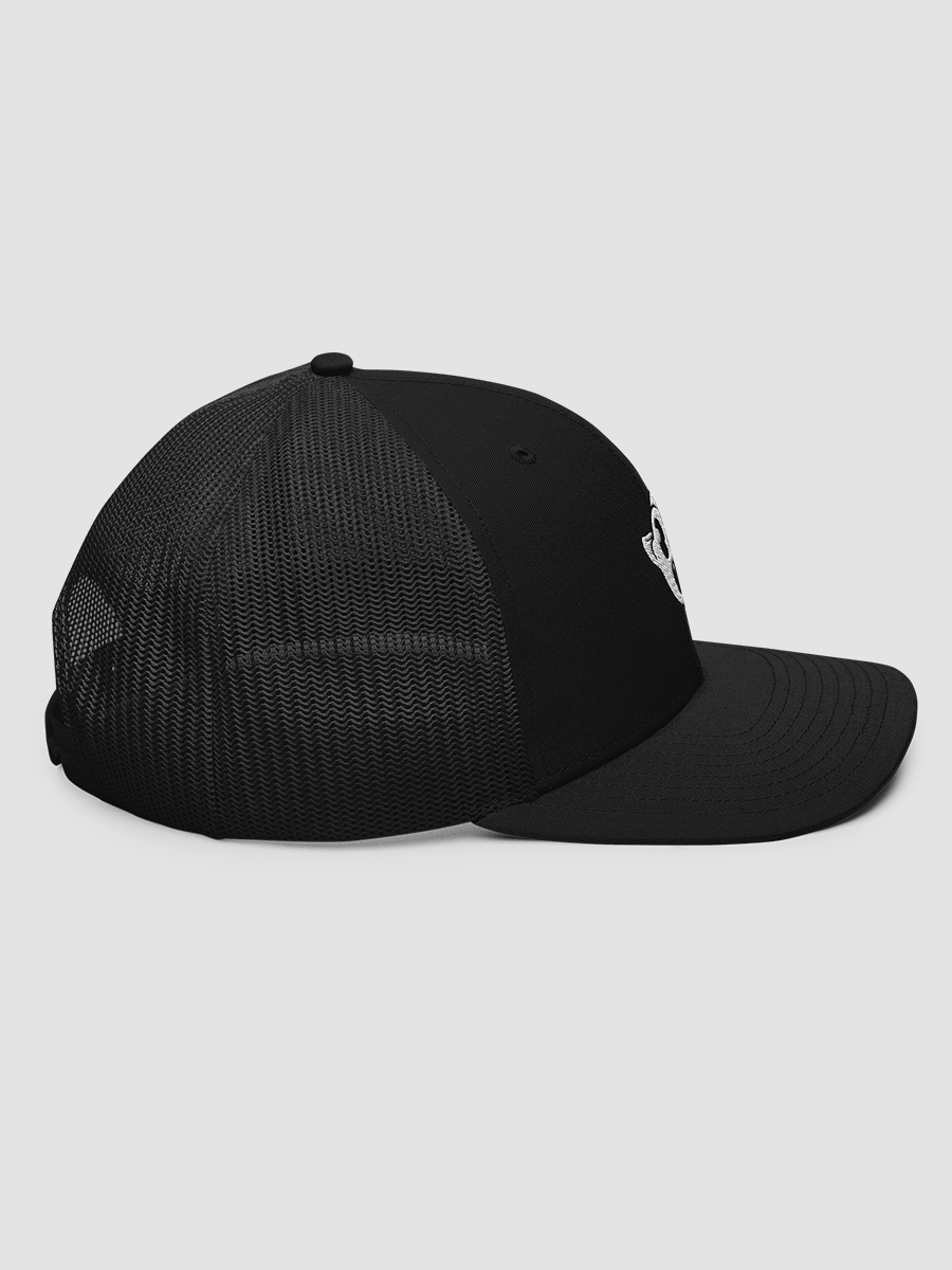 Snapback product image (3)