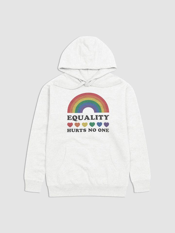 Equality Hoodie product image (5)