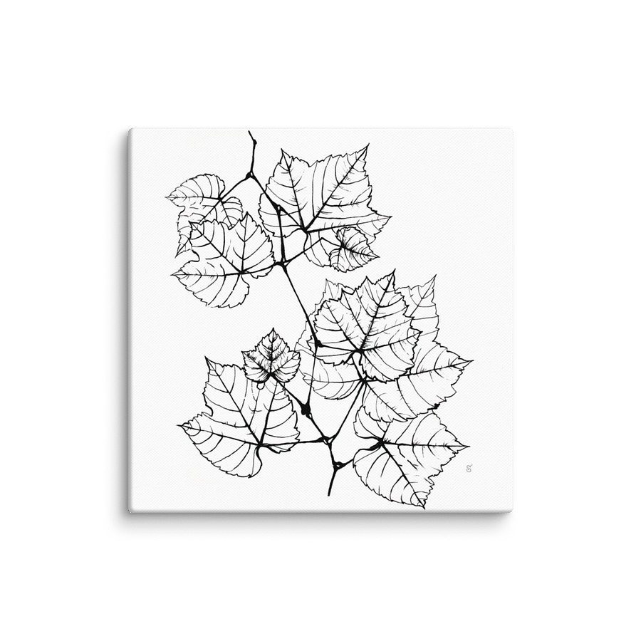 Blank Canvas: Unleash Your Artistic Vision - Grape Leaves Elegant product image (1)