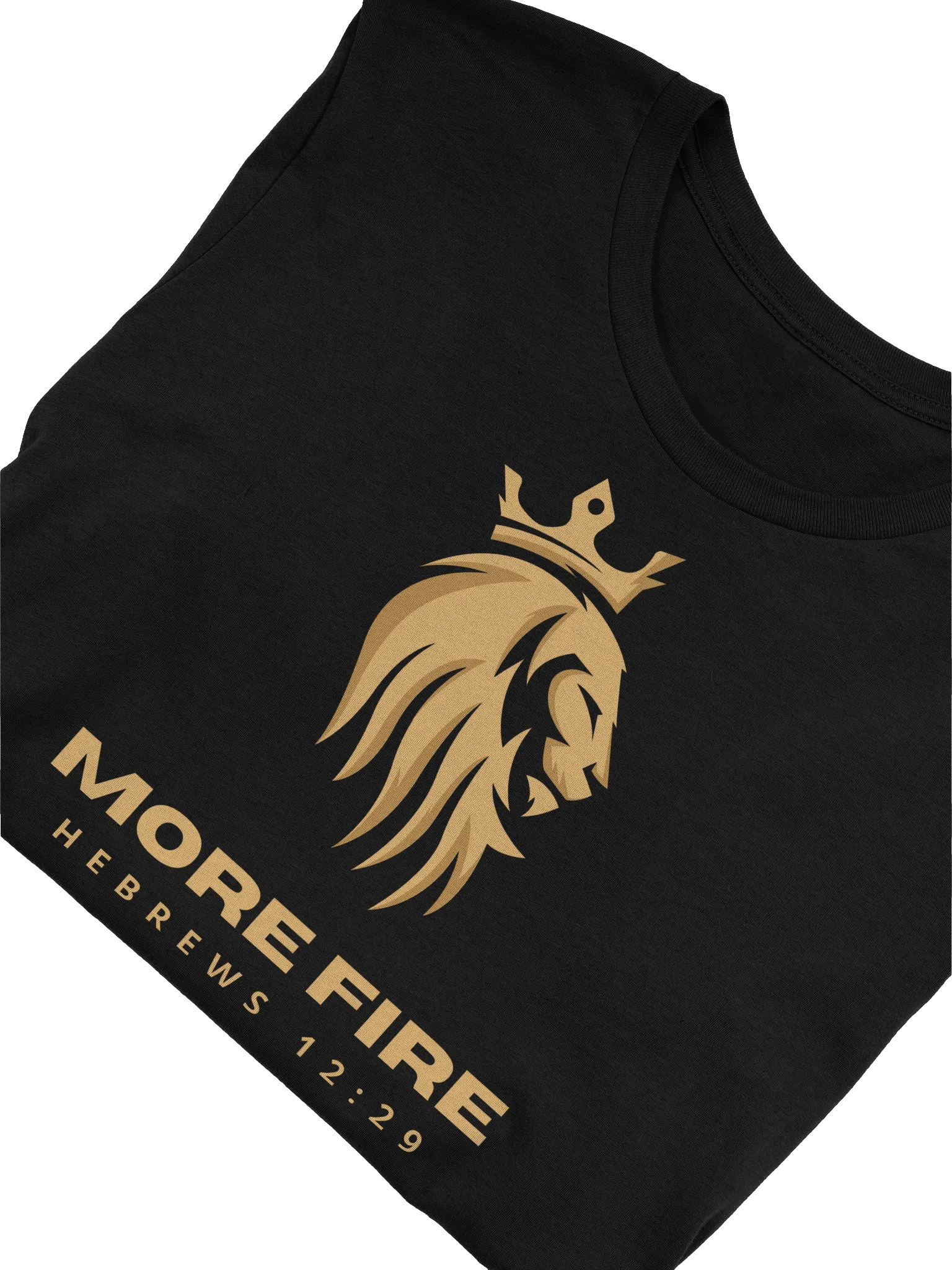 Heb. 12:29 Lion Logo T Shirt product image (28)