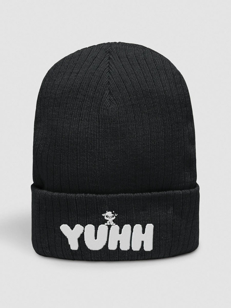 YUHH Beanie product image (1)