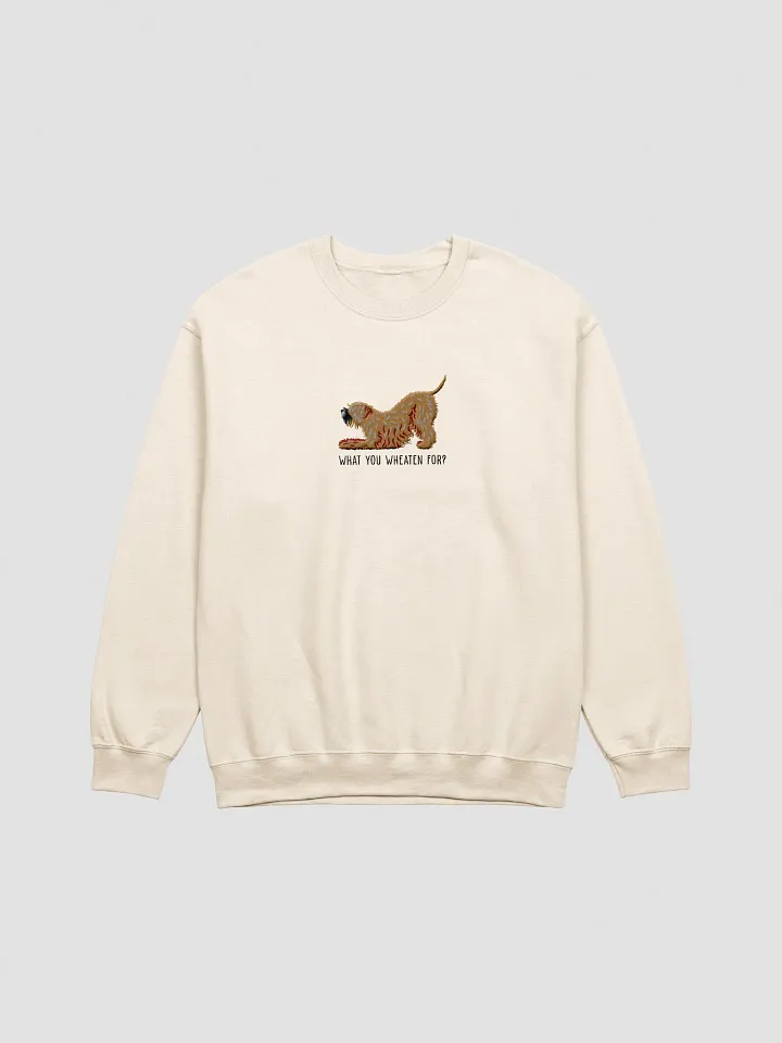 What You Wheaten For? Sweatshirt (Embroidered) of a Wheaten Terrier(2) product image (13)