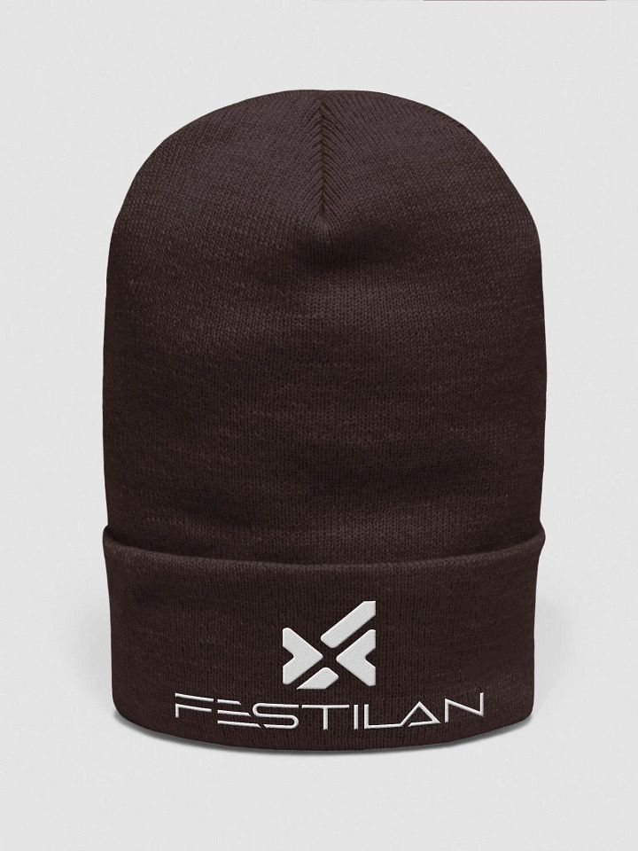 Tuque Festilan product image (1)