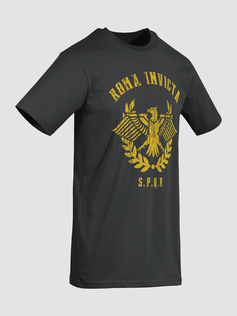 Rome Reborn v2 Heavy Tee product image (20)