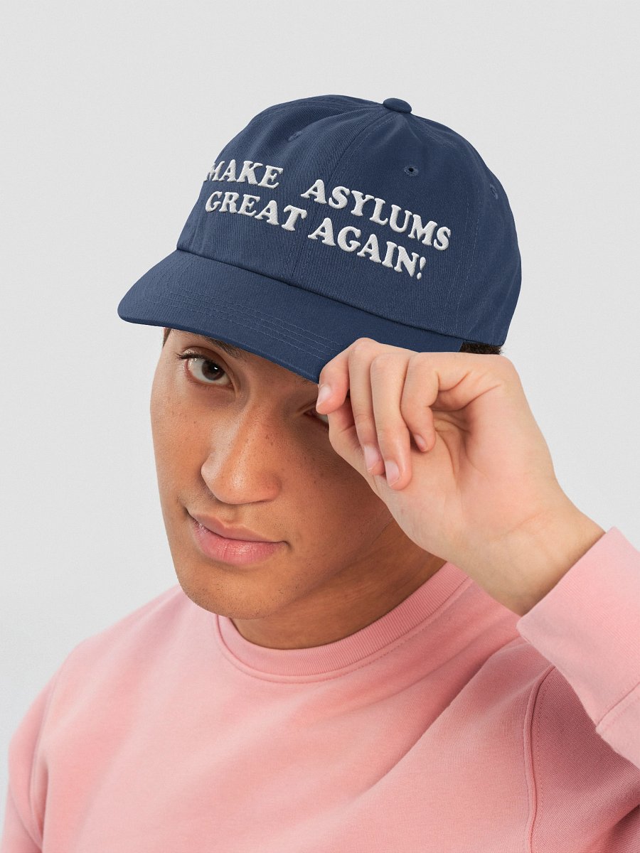Make Asylums Great Again product image (3)