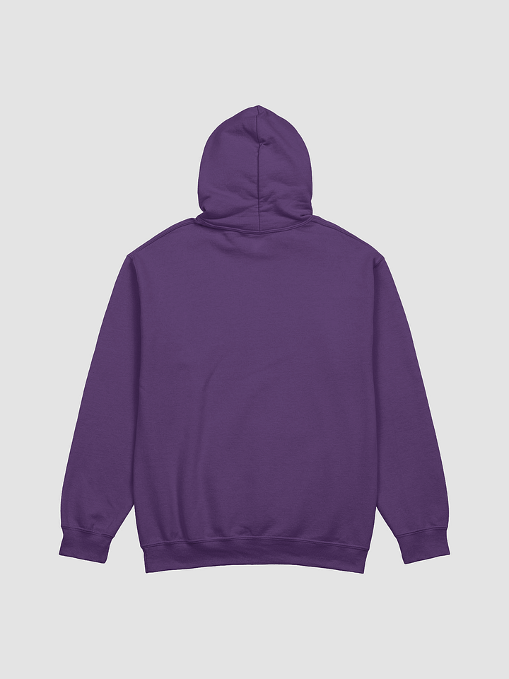 Cozy Readers Book Society Hoodie product image (2)