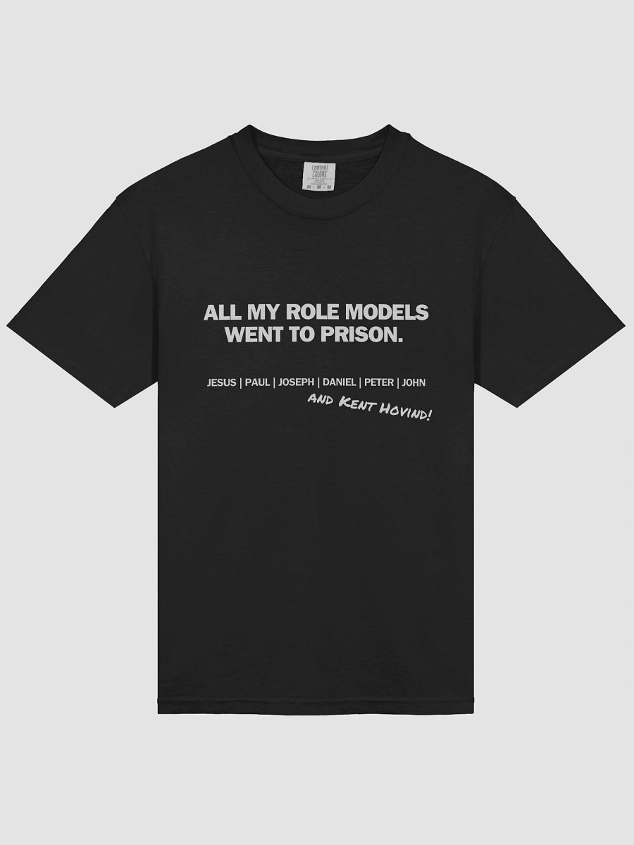 All My Role Models Went To Prison product image (5)