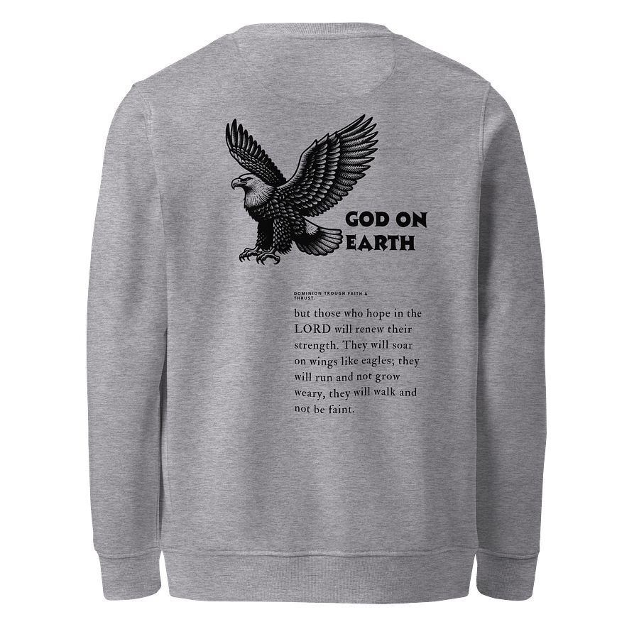 God on Earth Eagle sweatshirt Unisex product image (11)