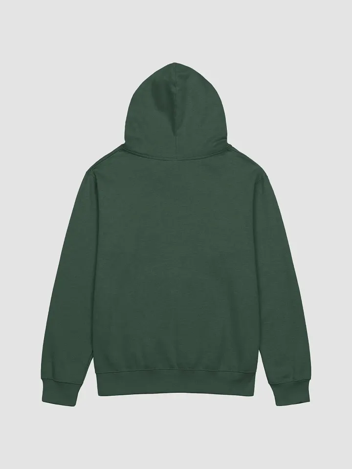 BPL Pride Midweight Hoodie product image (17)