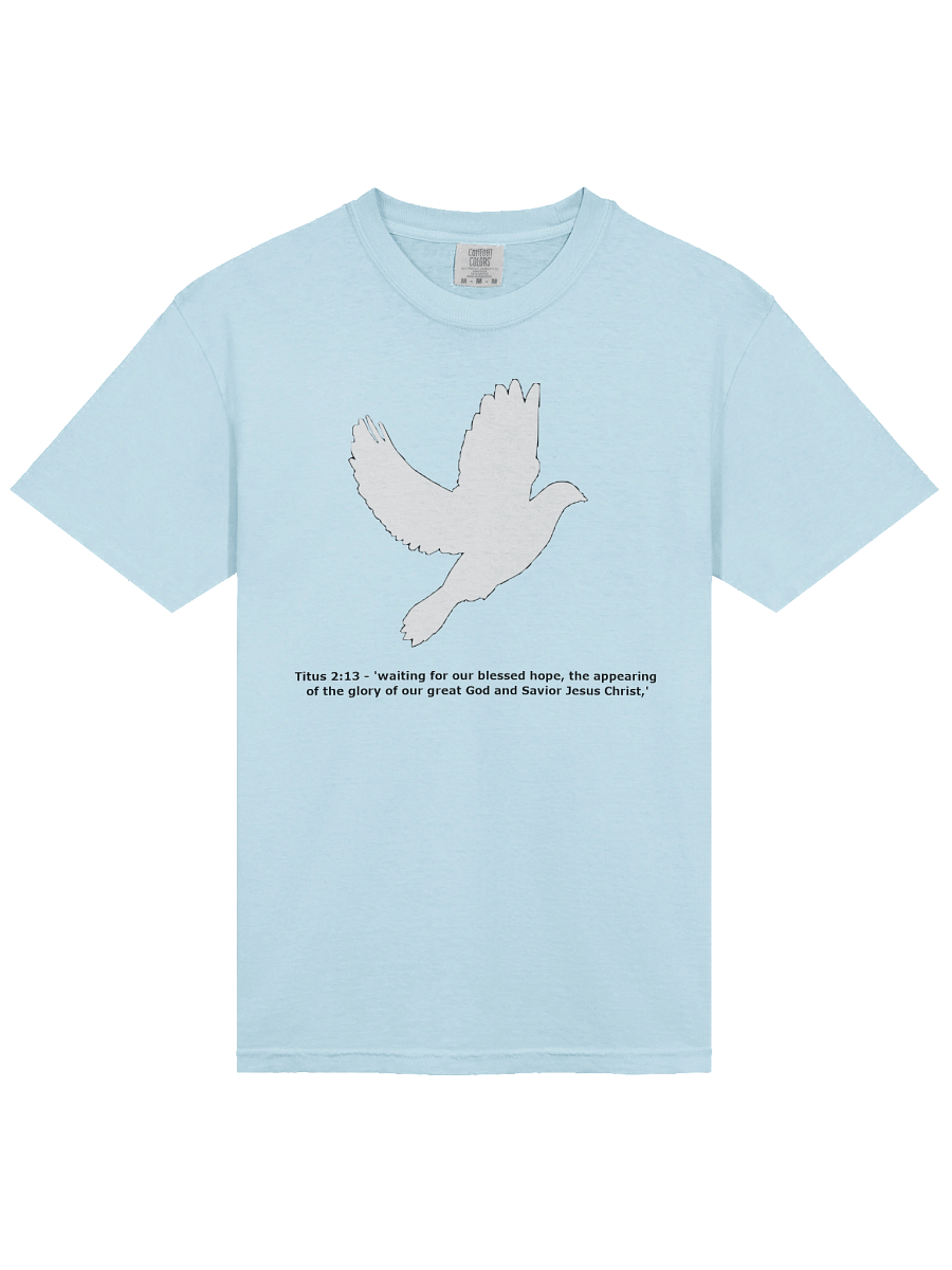 Bright Blue Light Dove - T-Shirt product image (3)