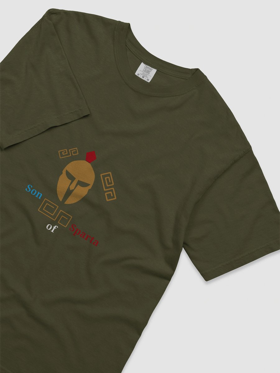 Spartan Crest Comfort Tee product image (5)
