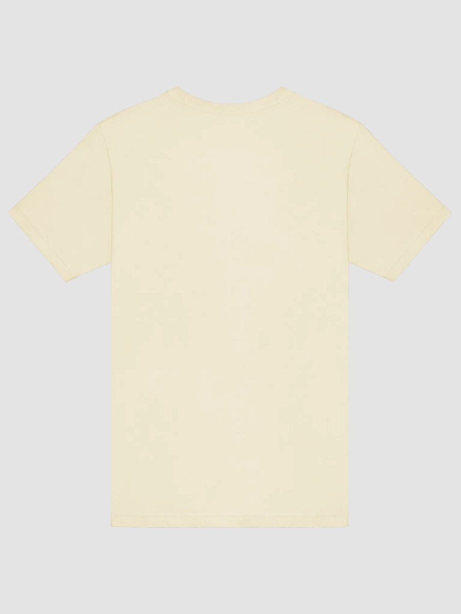 Pawsitive Vibes Corgi T-Shirt product image (13)