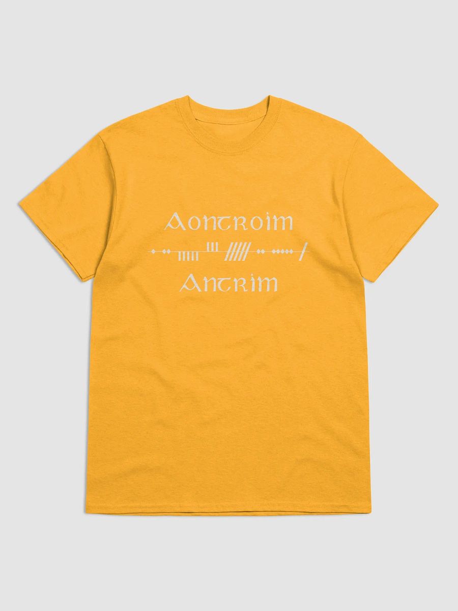 Antrim/Aontroim Scholastic style Ogham Saffron Printed T-shirt product image (1)