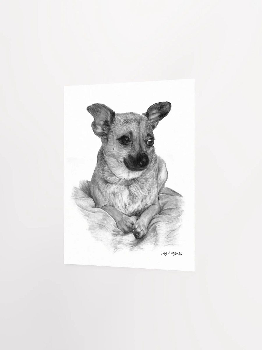 Chihuahua Print product image (7)
