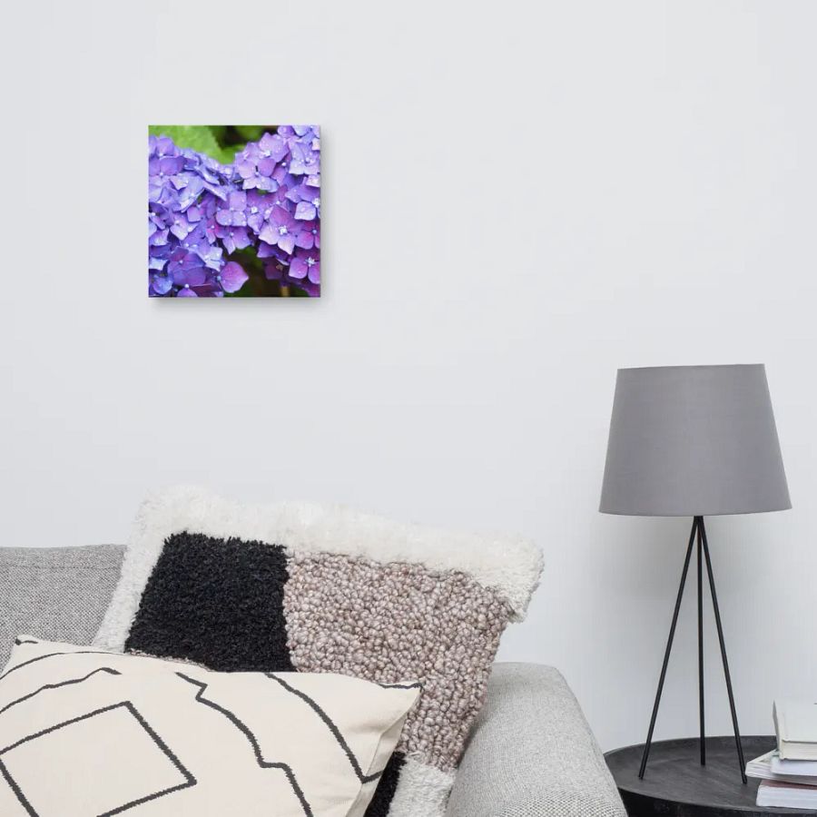 Hydrangeas product image (7)