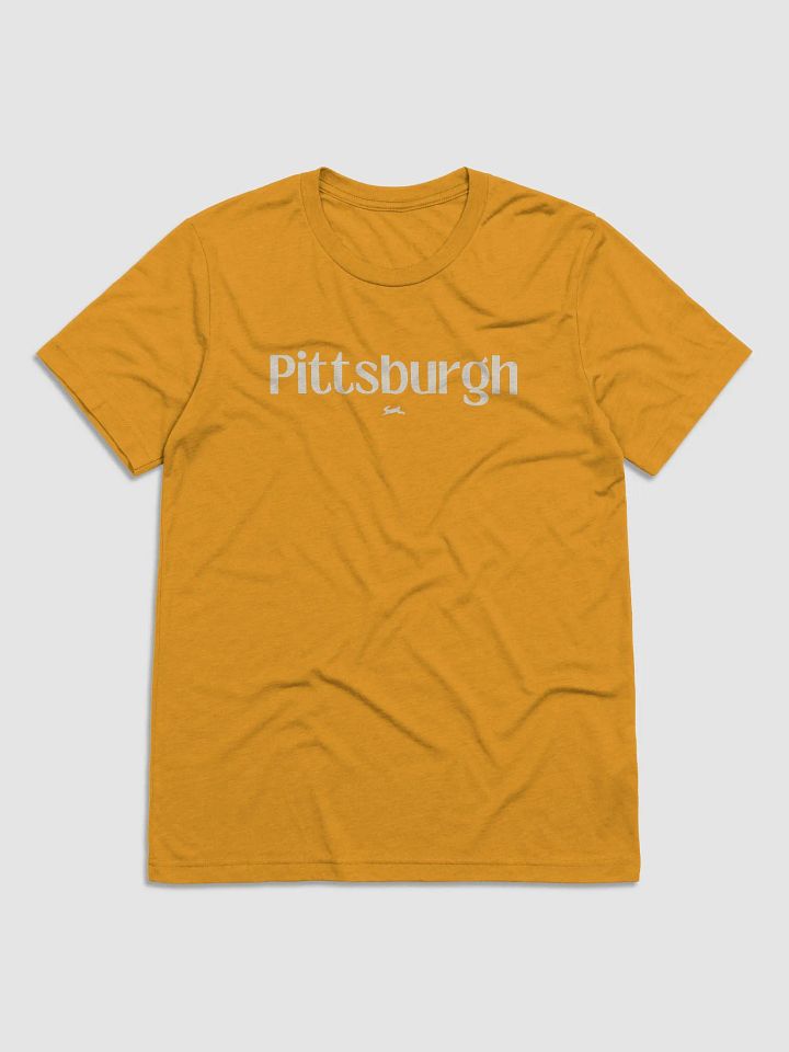 chfpar City / Pittsburgh Celebration Tee product image (1)