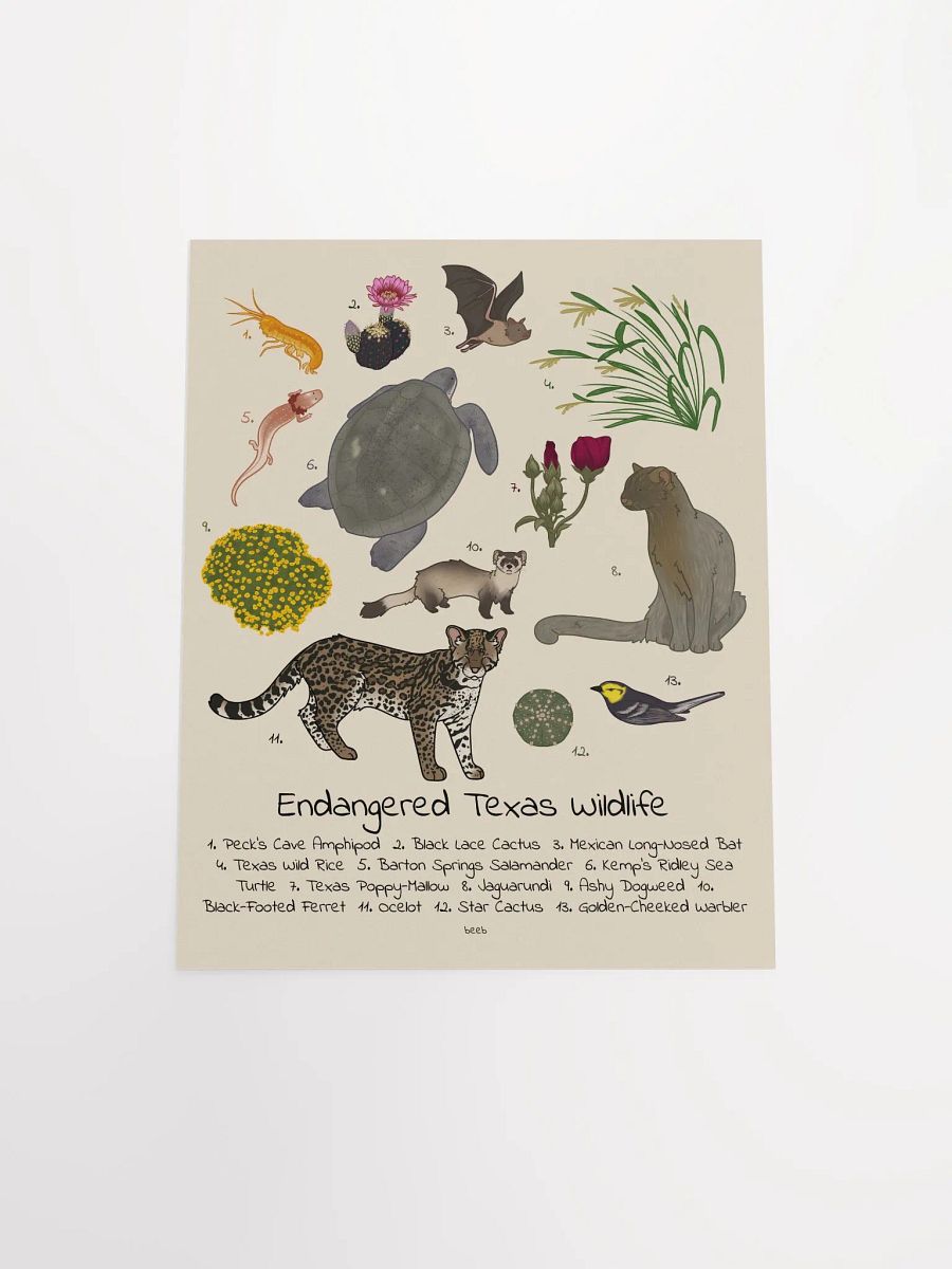 Endangered Texas Wildlife Print product image (10)