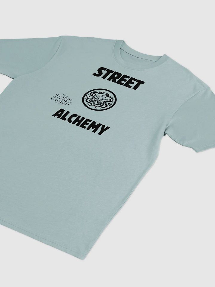 Street Alchemy Heavy Tee product image (7)