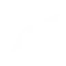Dark Wing Racing