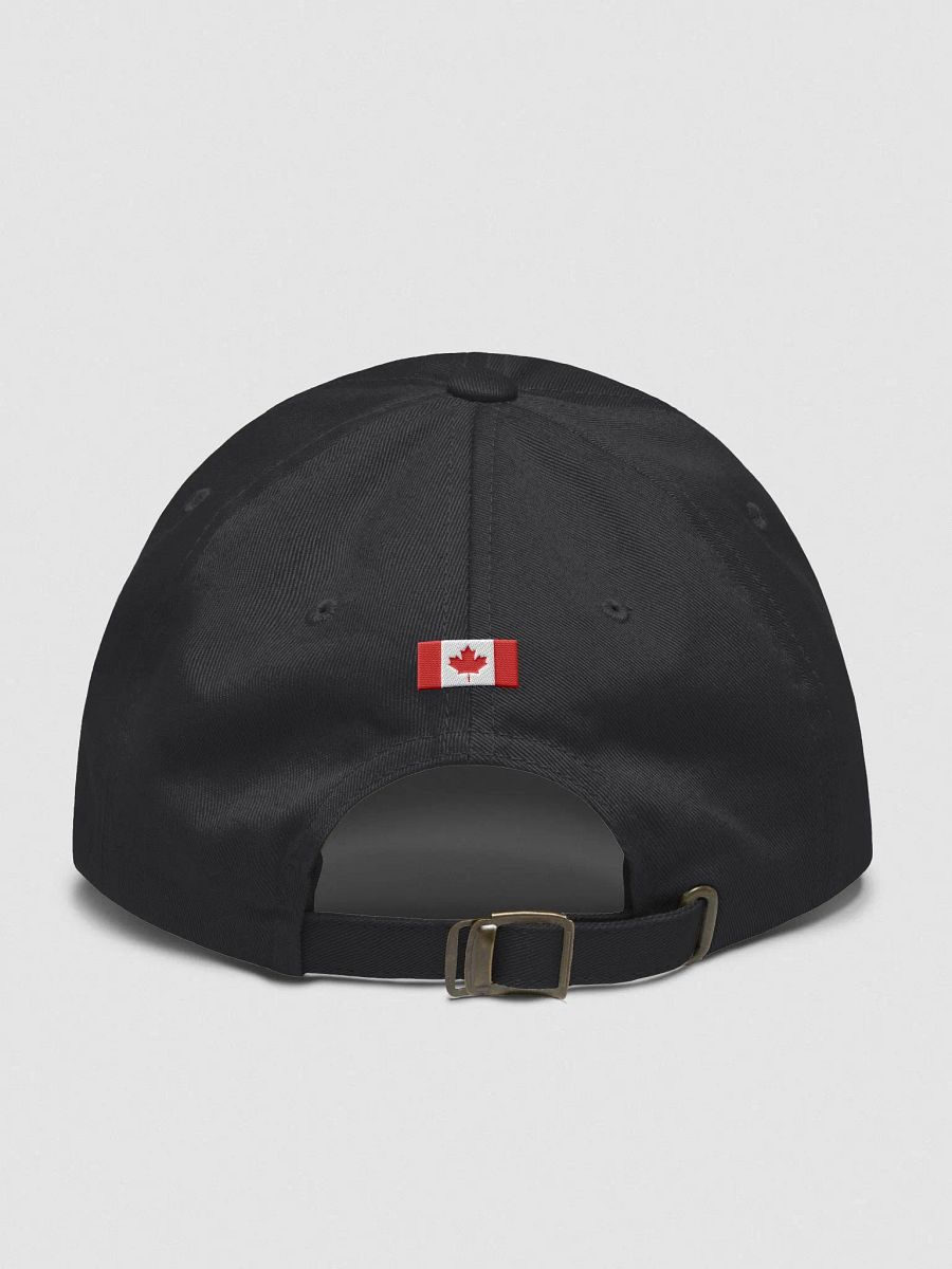 MAPLE SYRUP MAGA HAT (MAPLE LEAF EDITION) product image (2)