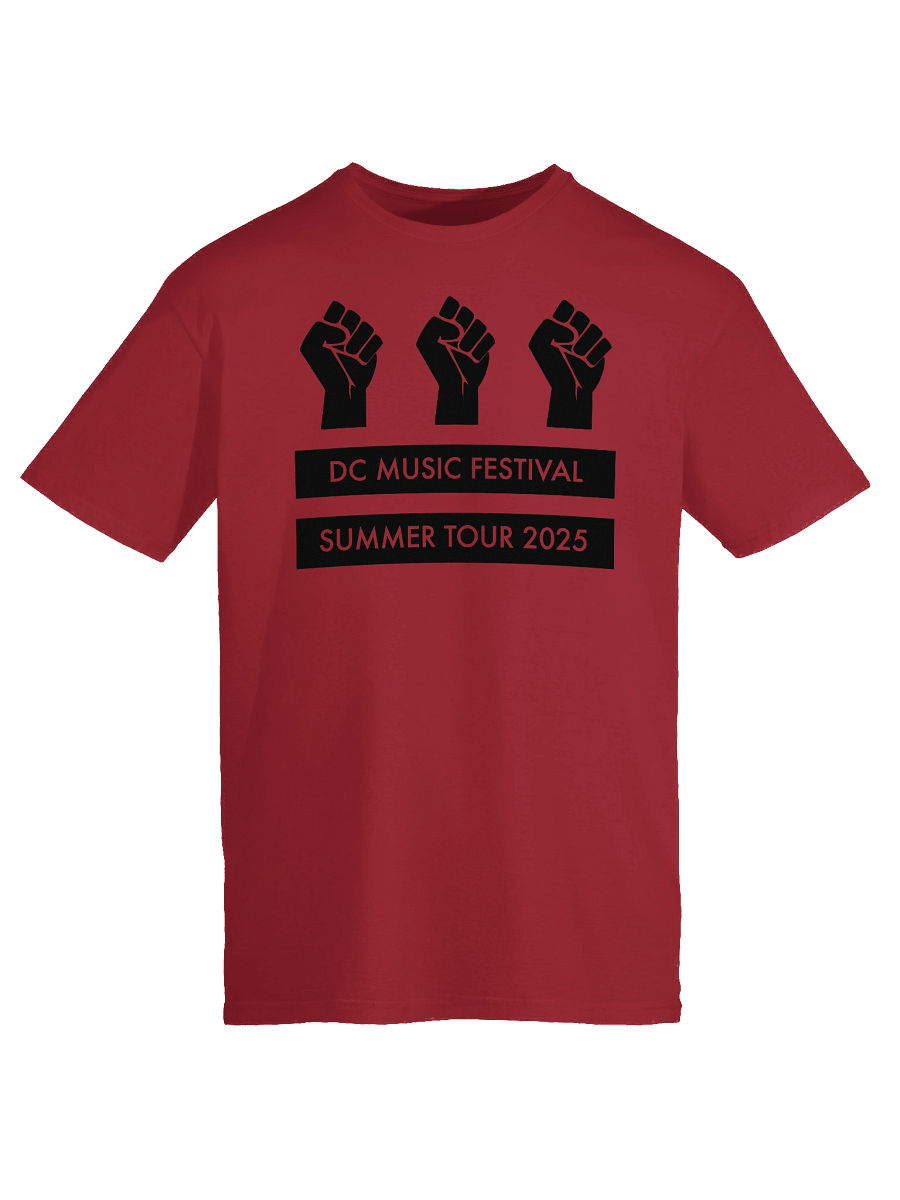 DC Music Fest Summer Tour Fist Flag product image (9)