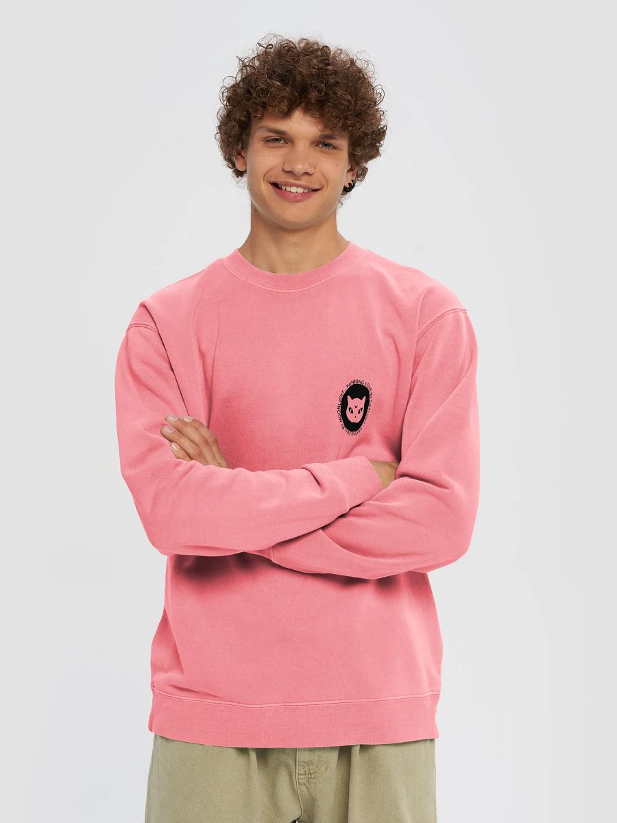 Fighting Evil By Moonlight - Sweatshirt product image (26)