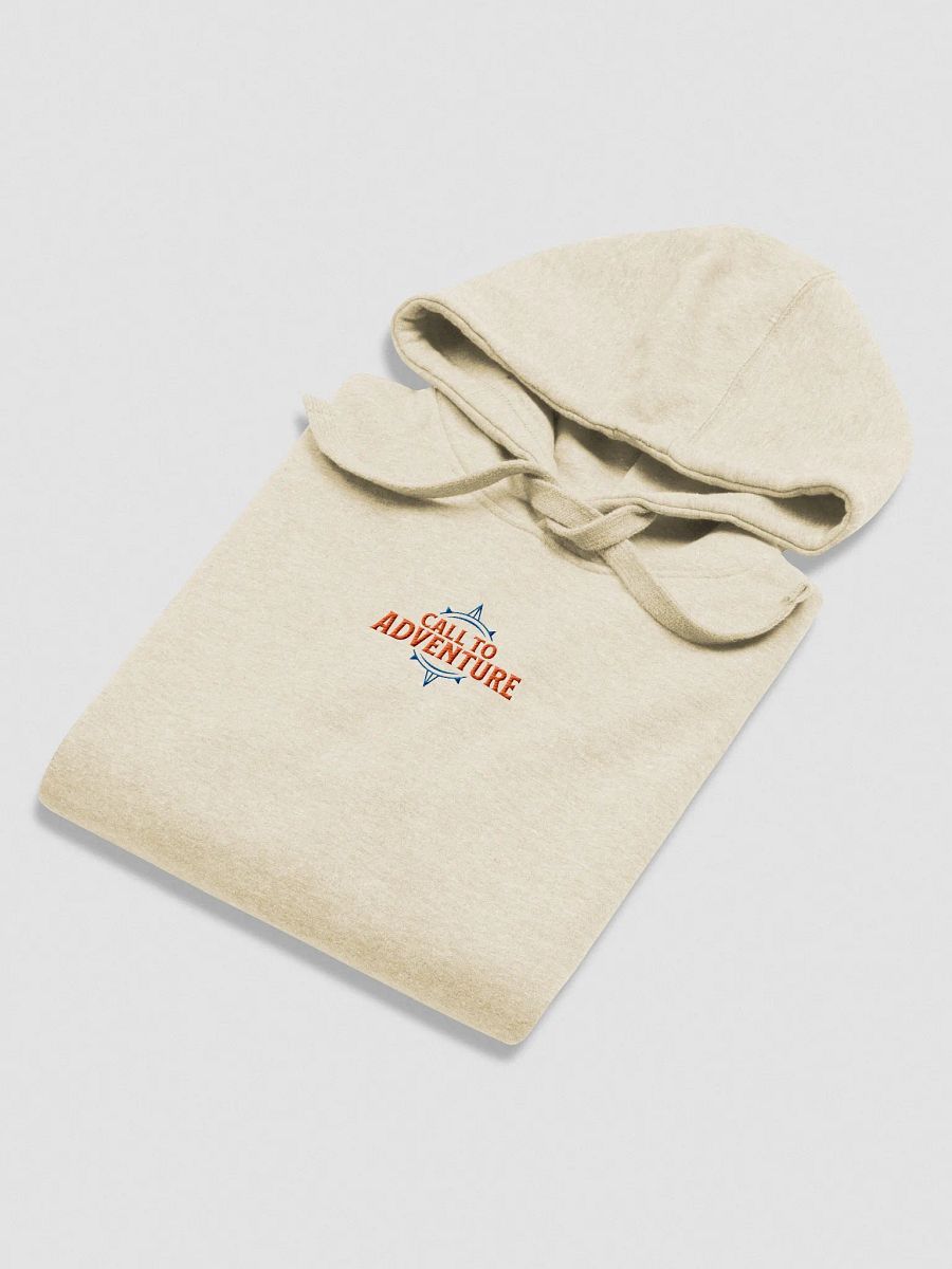 Embroidered Hoodie product image (14)