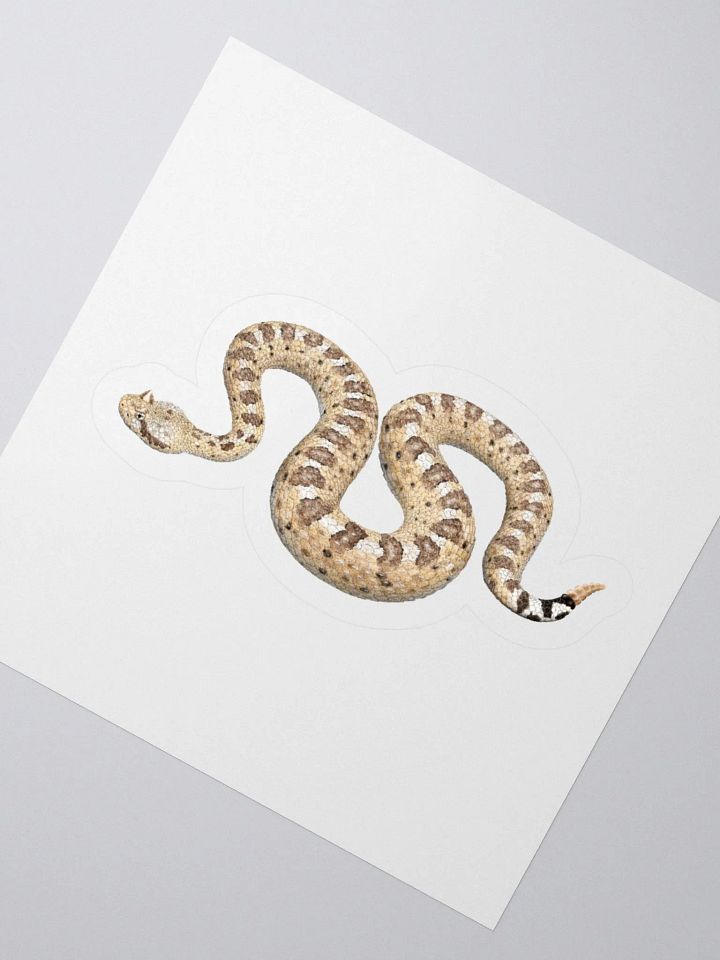 Die-Cut Sticker – Sonoran Sidewinder product image (2)