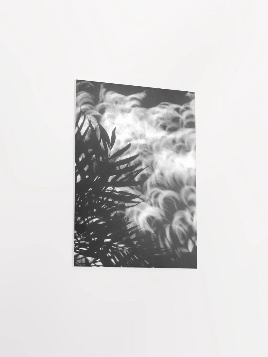 Crescents of Light from the Eclipse - Poster 1 product image (29)