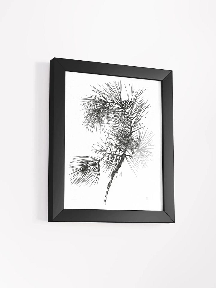Pine Branch Serenity Framed Poster - Pine Branch product image (18)