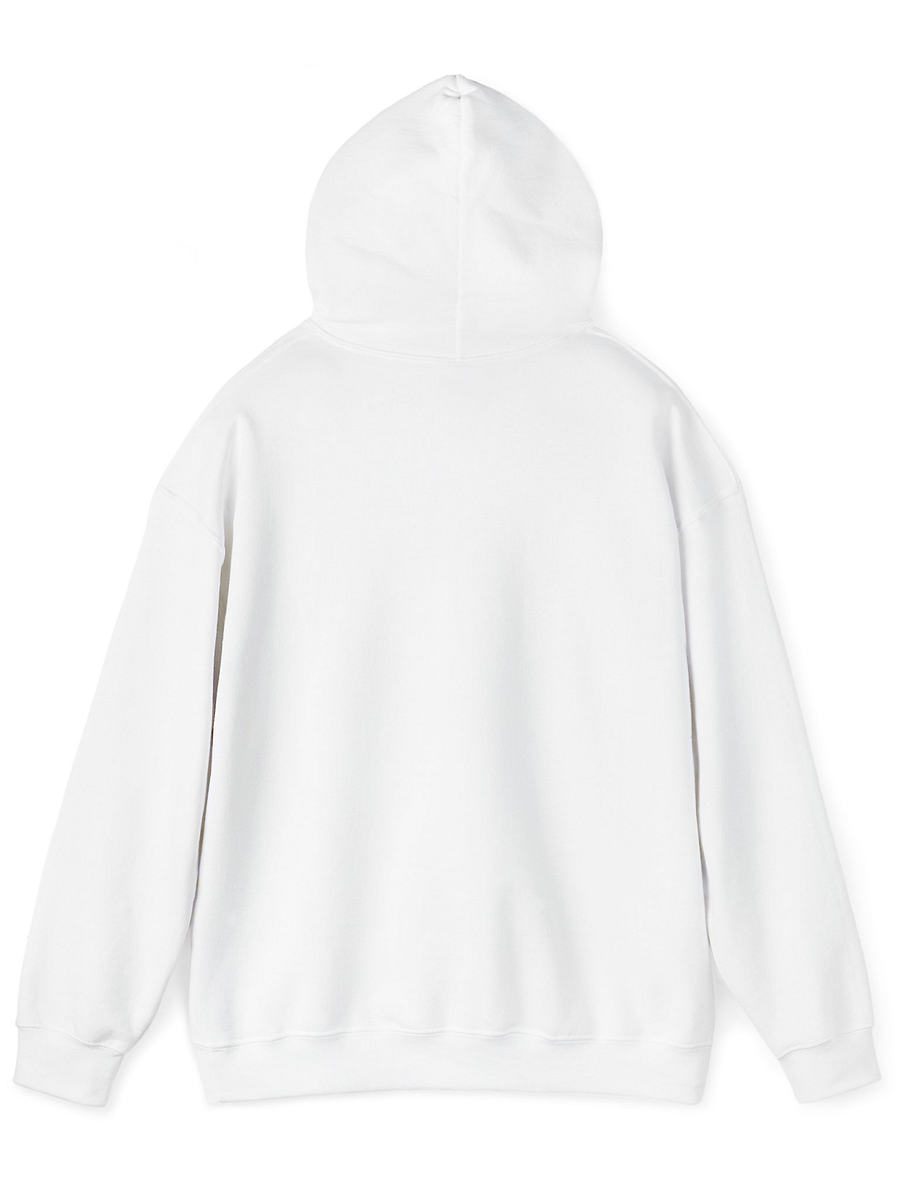 LXA PrayStation Classic Hoodie | Love X Aloha - Faith Collection | Premium Christian Apparel product image (12)